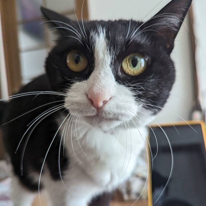 1f58e3e8 dfce 4d31 92d4 1f788d9b98ea 1715594473395