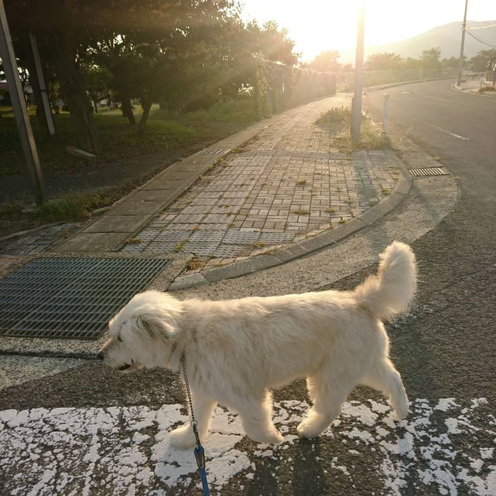 1f59436e 91f7 424c a1db 775d47a66704 1569918132689