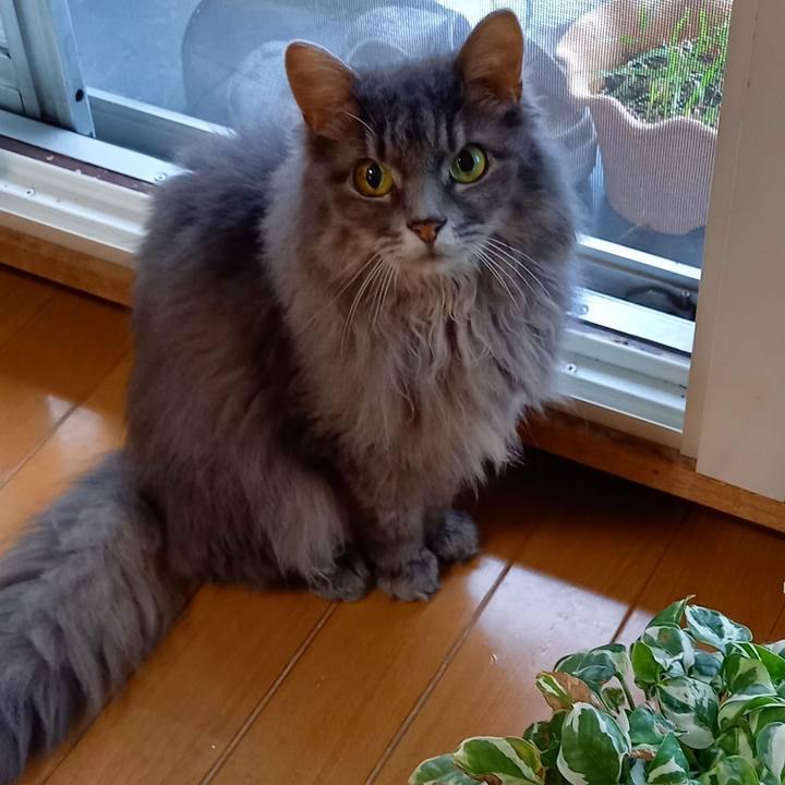 1f5952fc 1934 4b2c b530 6c84f91863f7 1630624450385