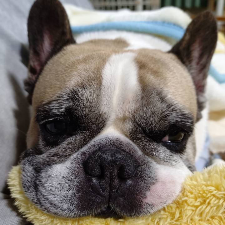 1f5992c2 d056 4b89 a170 3387febea8f8 1763295315465