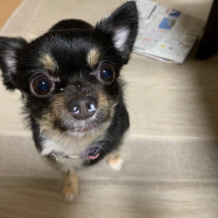 1f59aa47 674f 494e 9cac c72fe655eec8 1569446081728