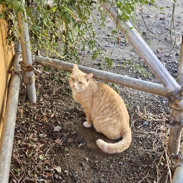 1f59aeb2 ec1f 4fc2 a2e0 bf38ae74faaf 1711503735077