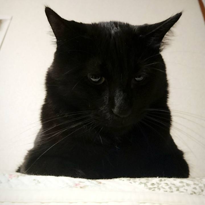 1f59d0b6 3c39 4f7b a3b8 67c14e385eb0 1517710553727