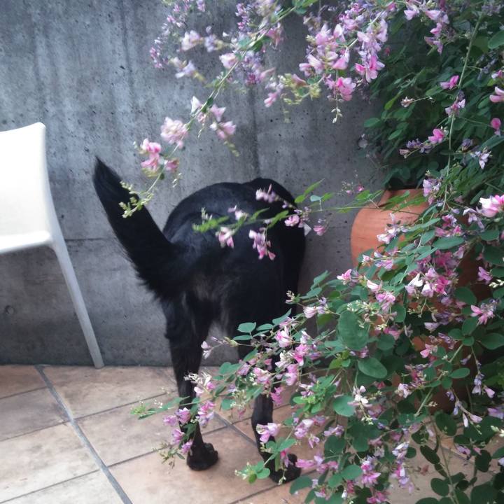 1f59e29f e498 4533 a45f 51ed2f204ad3 1569657941033