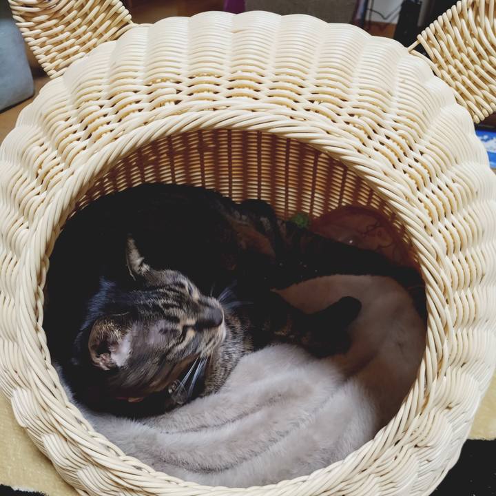 1f5a0518 21eb 4bc4 8295 dada90b3e436 1775229365934