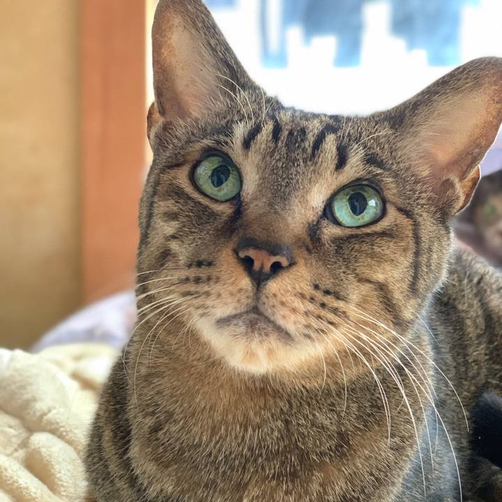 1f5a20fe 9912 4d34 b508 0f6886c38838 1579309397302