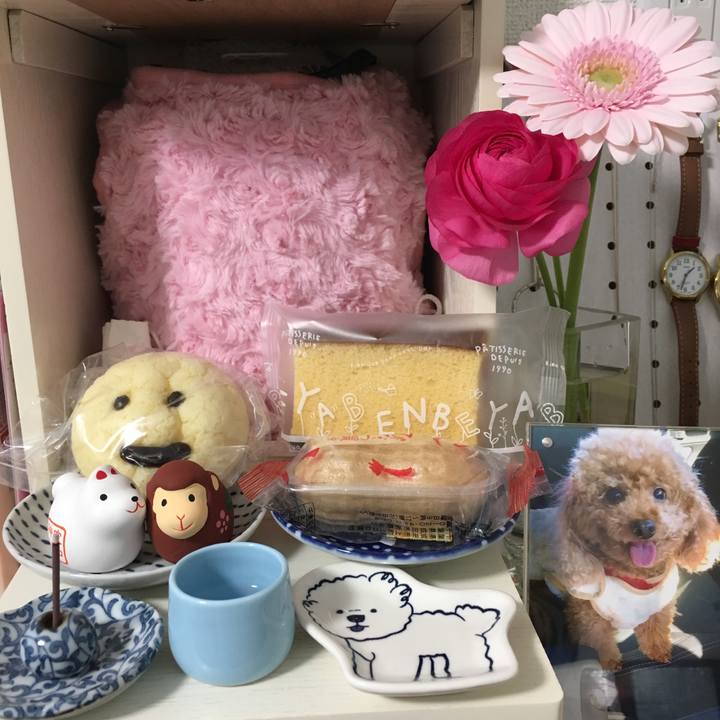 1f5a284f e574 41ab a3f7 85865ccce1e7 1612420396625