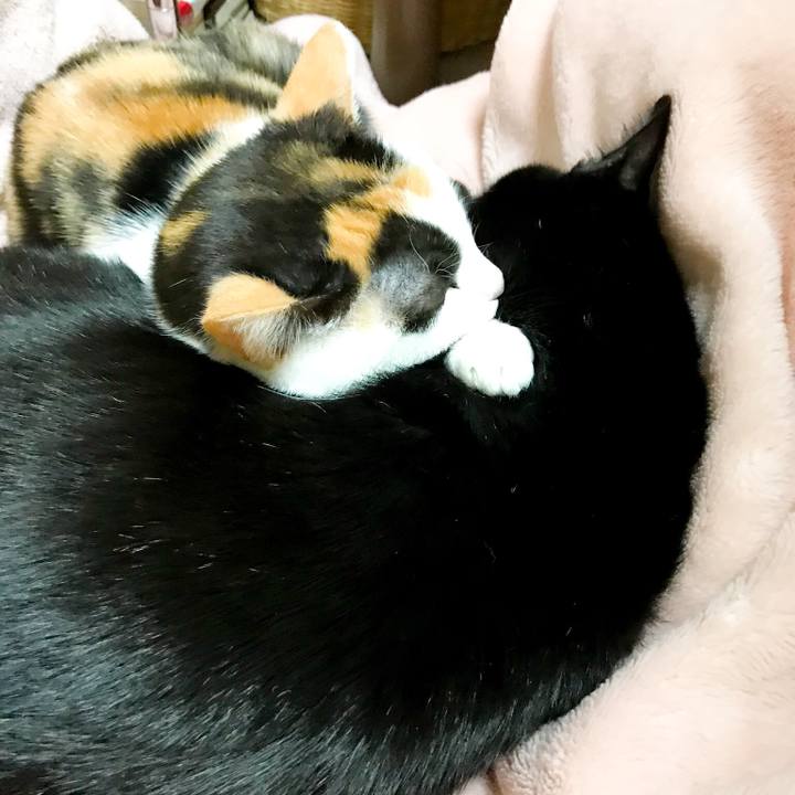 1f5a3fd7 7165 45b6 8be9 f2c586b6e6b8 1512867734082