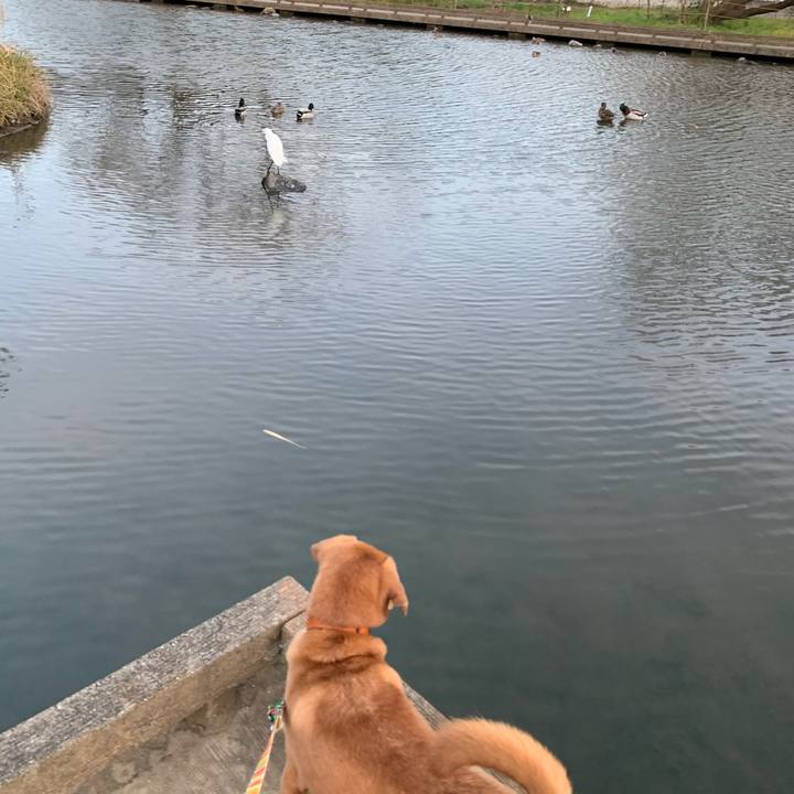 1f5a4ad3 2db3 4150 9b91 0f368648c941 1577173097640