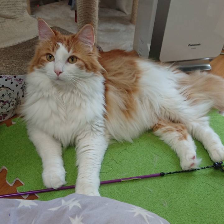 1f5a5890 b323 4a04 9697 8e7b59274862 1560657661497