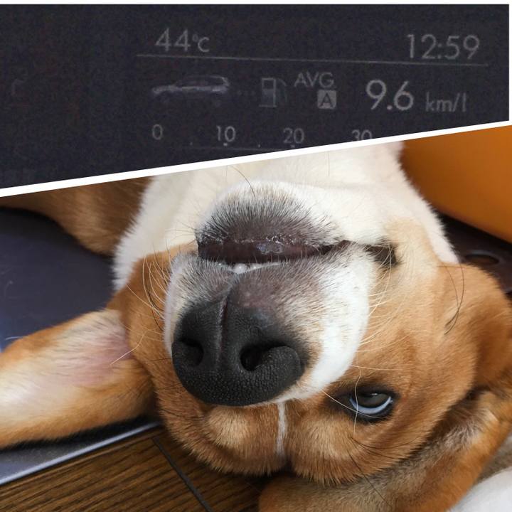 1f5a8ea2 8e47 4d04 bfbf 5c026b80cf59 1598673759098