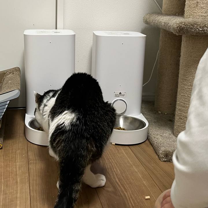 1f5aadf3 cde5 4393 9d6d cbac739b7bd9 1765018267079