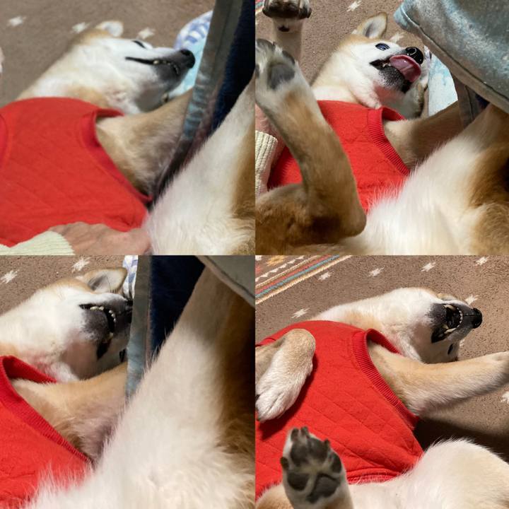 1f5acc0f a0b5 4dae 86b5 9b20d35e3b28 1766470042730