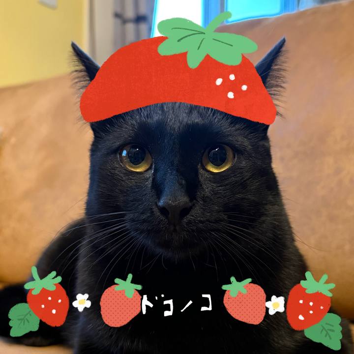 1f5ae1e1 8513 4cc0 8c51 ce7ba42b806a 1775217935079