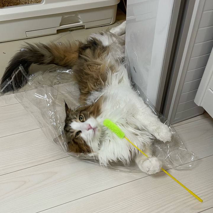 1f5ae49f c08d 4502 86e8 71605881bd65 1674595441768