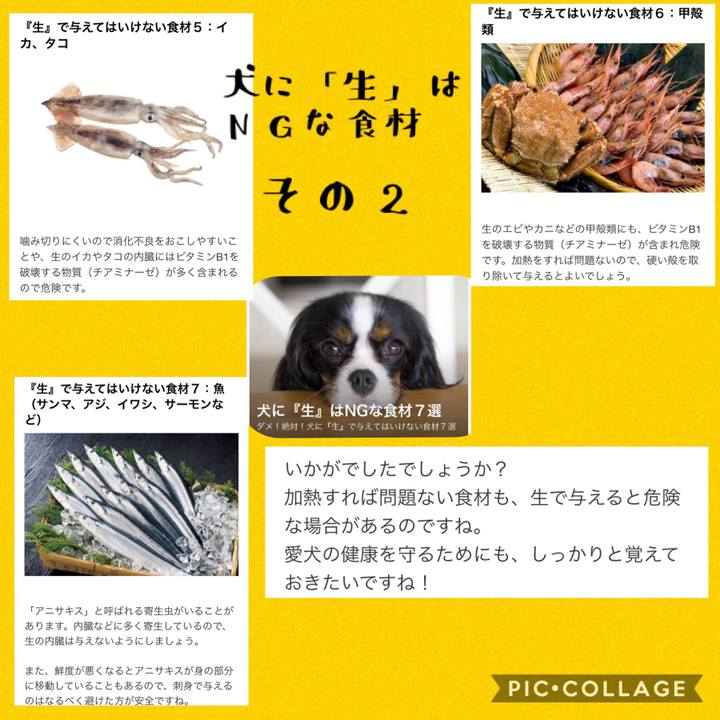 1f5ae4d9 fb78 4a0b bd02 a6a386b92cb8 1540736222517