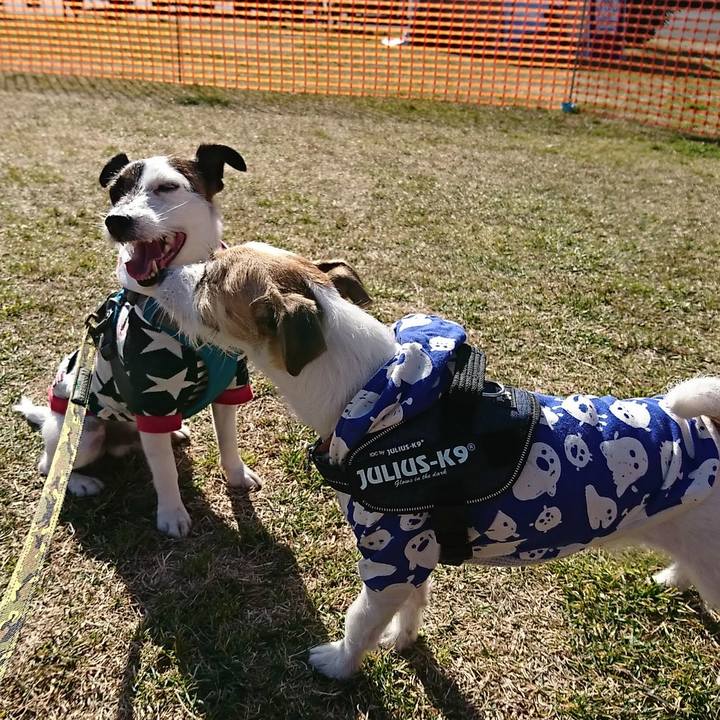 1f5b16f1 48ca 4636 a8d7 440b8851676a 1549077531445