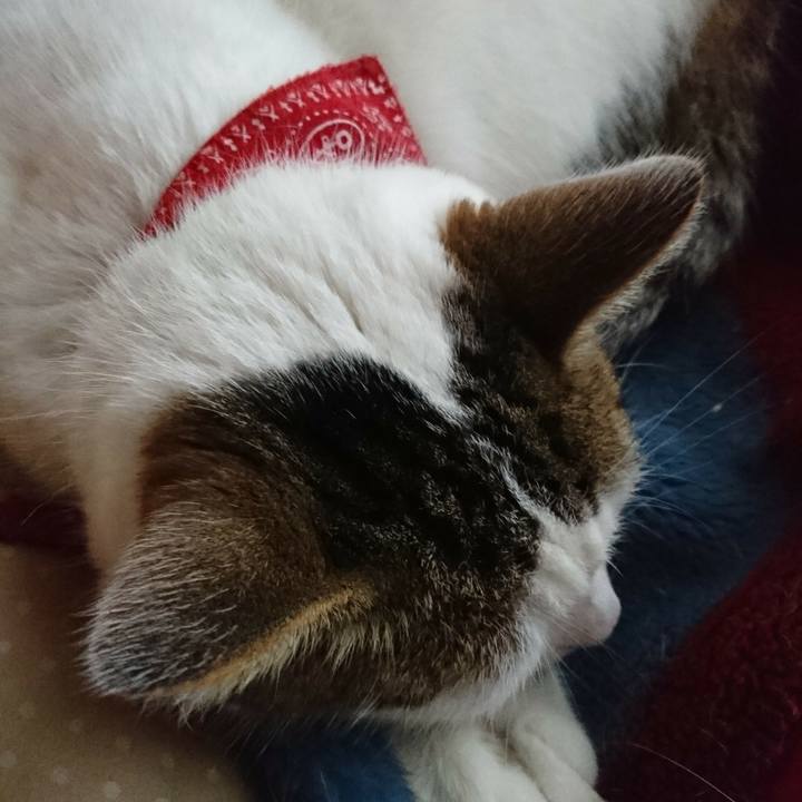 1f5b4a46 0135 4b88 82c7 dfa9fe912b60 1509169897258