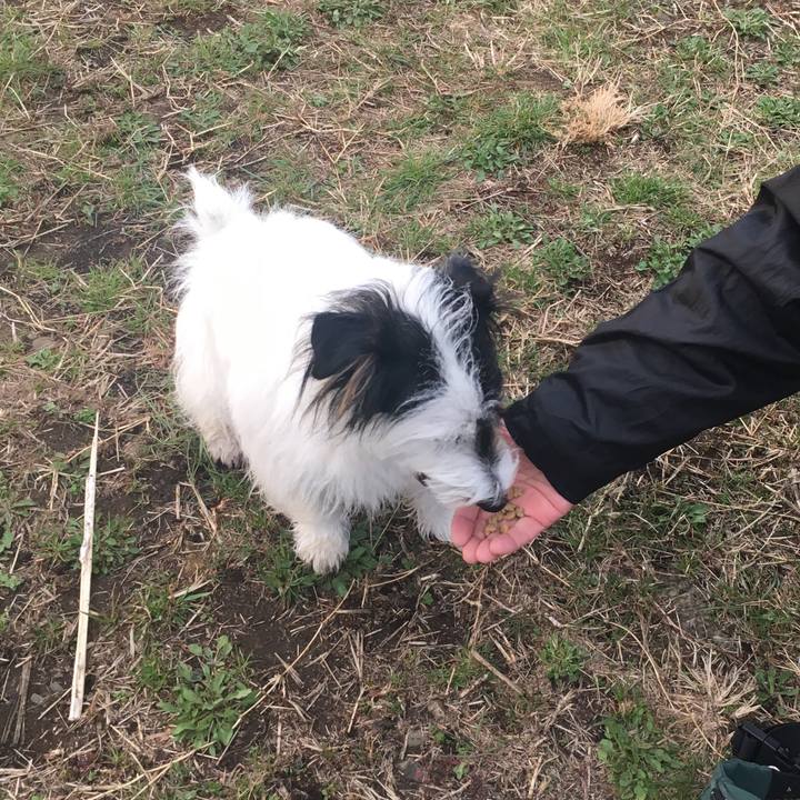 1f5b5363 b10c 449d 8843 52372a8d5185 1523917924339