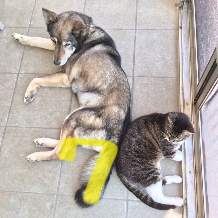 1f5b58a1 4df7 44e4 949c c6b1fc3fcdef 1687073994961