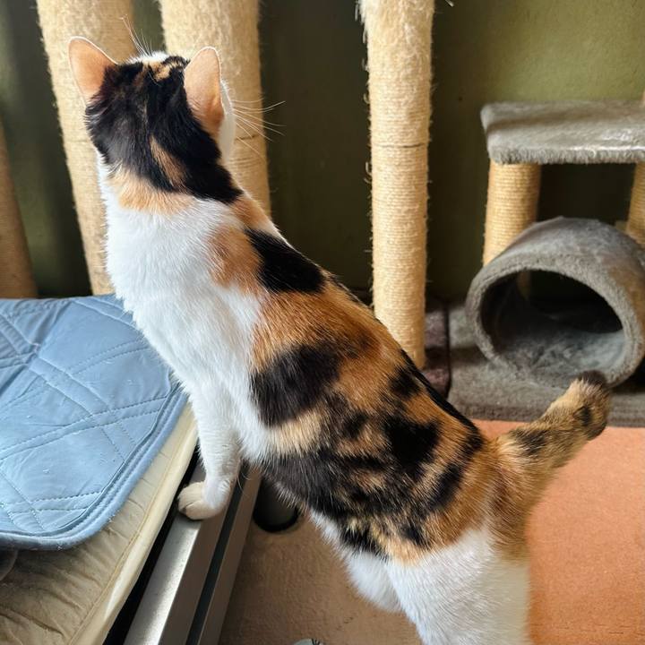 1f5b8c25 33e6 4c11 adfb 63765f15cc13 1666749806329