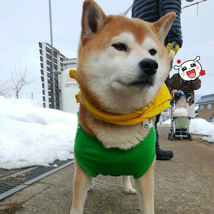 1f5c2d2f b4e0 4974 b192 e5e3300d276e 1518240669061