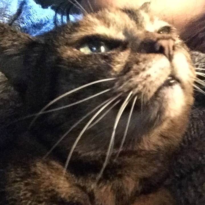 1f5c4a84 b453 48cc a2ad 4bc87b73284f 1522578109453