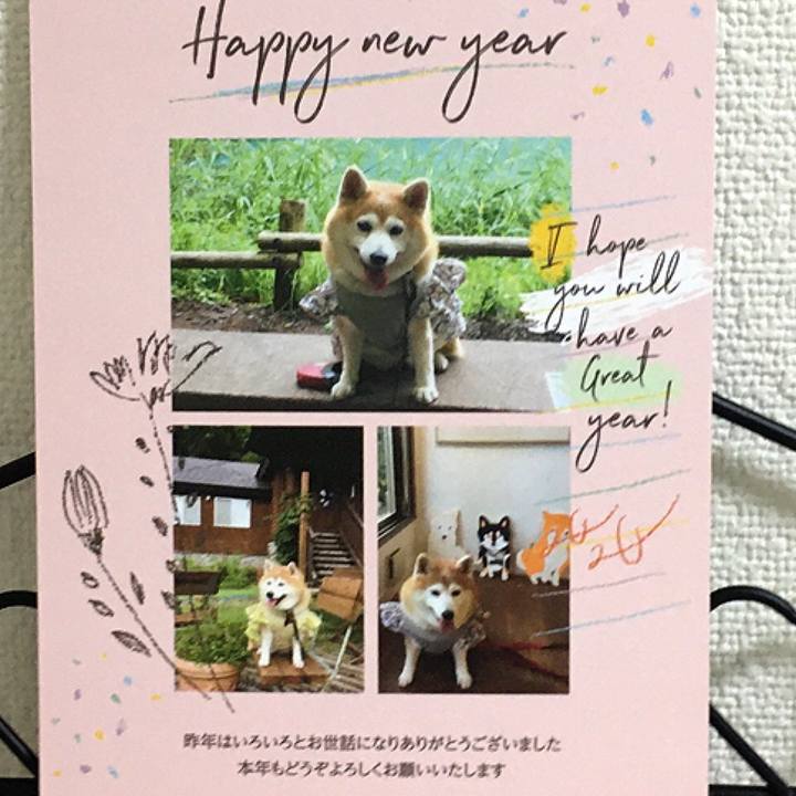 1f5c599e e44d 4b84 97c1 d88d6b84e0e4 1578123455567