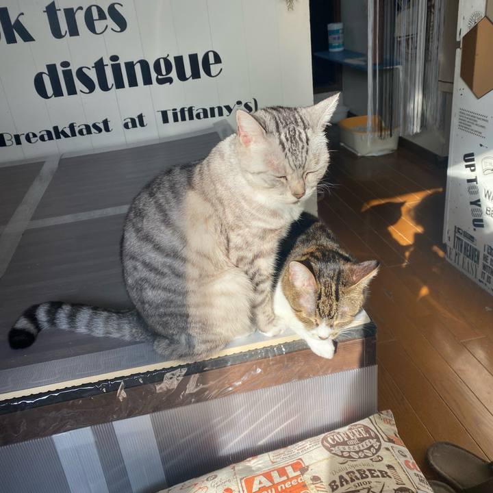 1f5c6bb9 b1d7 4337 aaf6 eaeecb7e9efe 1639110289465