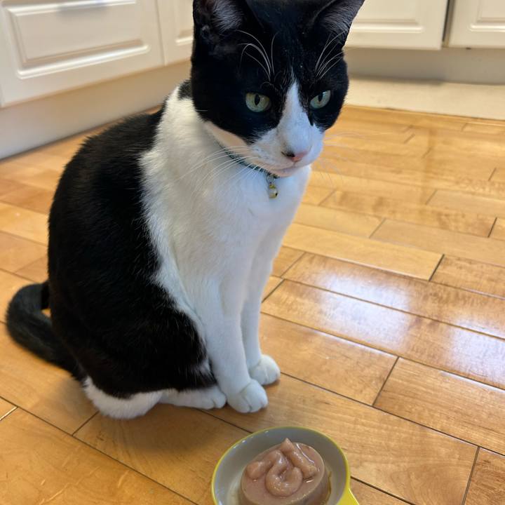 1f5cc514 68d0 4dae a356 dcf9ba335f72 1775196841612