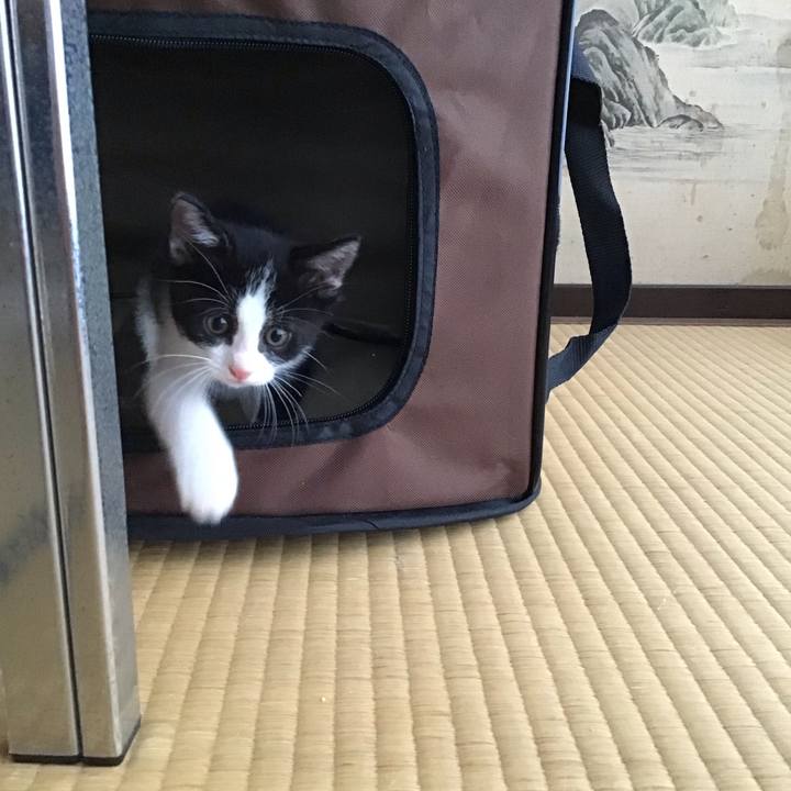 1f5cc947 3741 4cad 980b bdd5dd748705 1623753673746