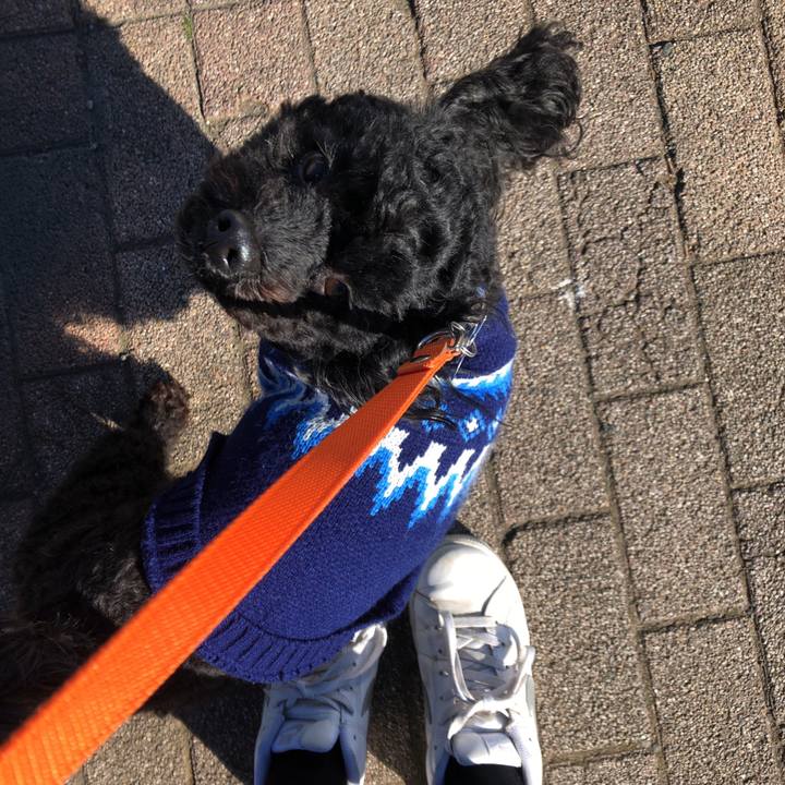 1f5cd1c5 5e9b 45c4 af87 114571618df3 1548481495495