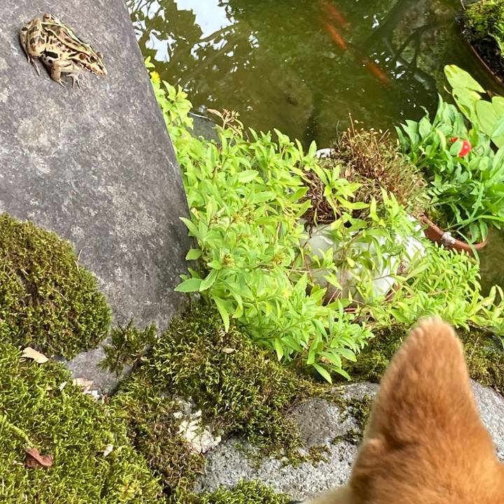 1f5ce7a1 7868 4e49 b2c6 eca8245b8e48 1690705647757