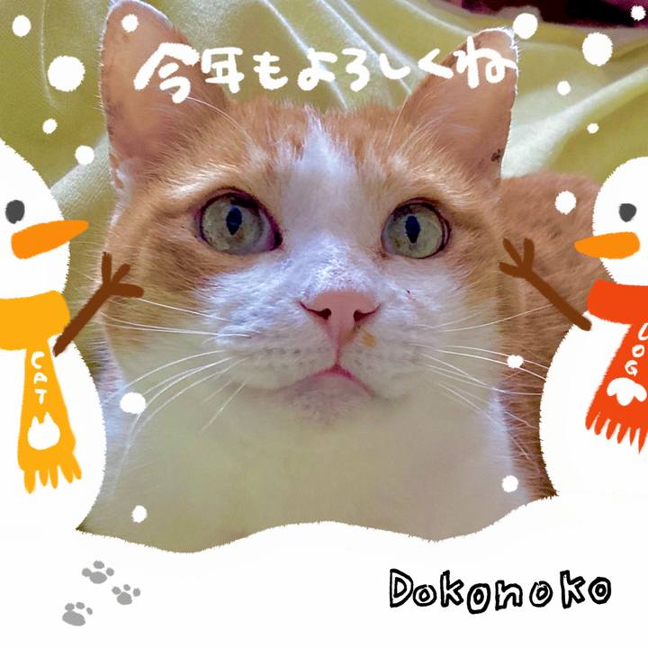 1f5ce97a a243 4a7b a680 84d376c23d60 1704181334603