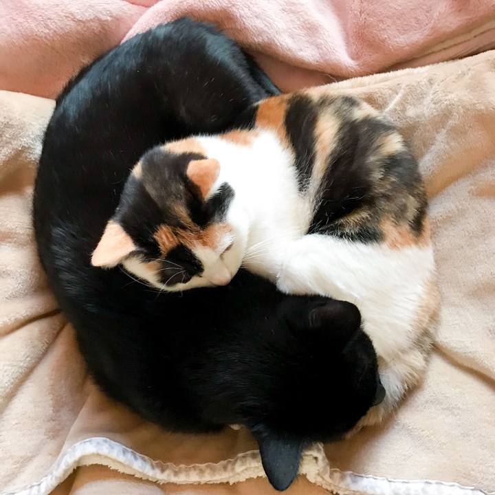 1f5cef4e 3787 4048 84e2 5bf1cc14fa24 1514246246794