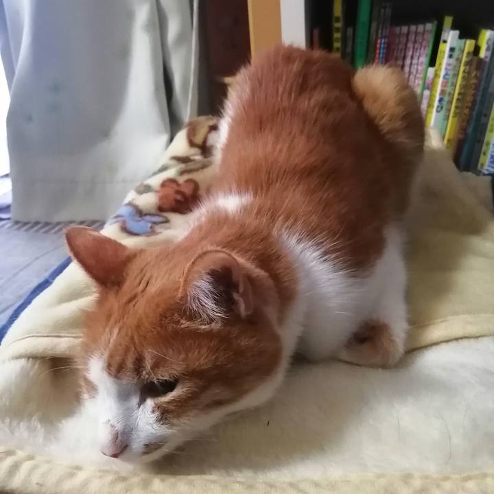 1f5d1808 cce6 41c9 bf41 00c8ff941851 1617053847632