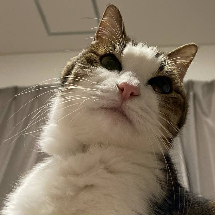 1f5d75dd b94b 4a87 bda0 e0a0d4085568 1576150004165