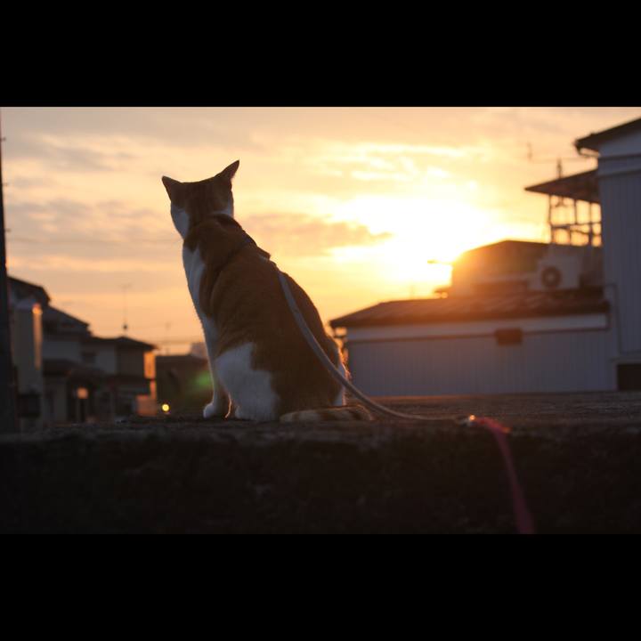 1f5d8113 309a 4959 8aea 6b4f327e88a1 1518261370767