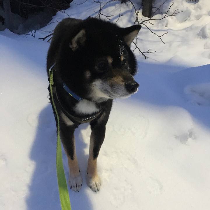 1f5da2f1 c8c0 4ebd a2f0 63e25e7d74d7 1519620330731