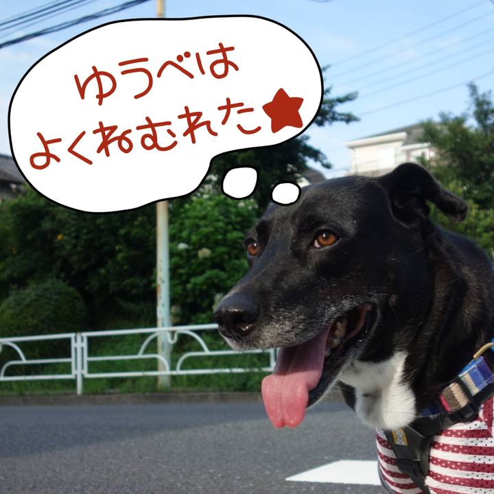 1f5dac75 3ee5 48ec 811d cc83650ff82d 1658359833184