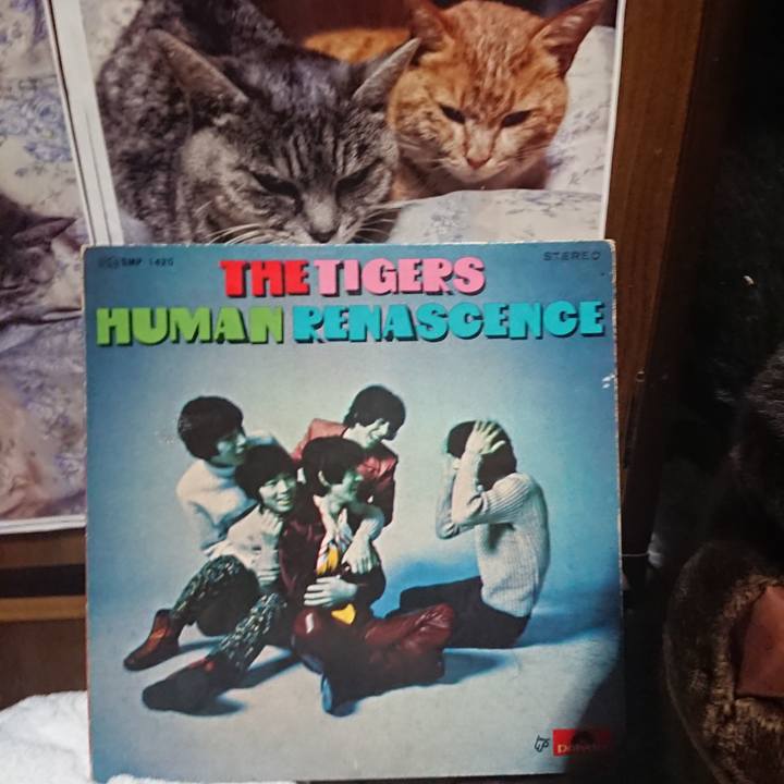 1f5dd819 4691 40b0 82e5 fa6a844722a2 1618315508475