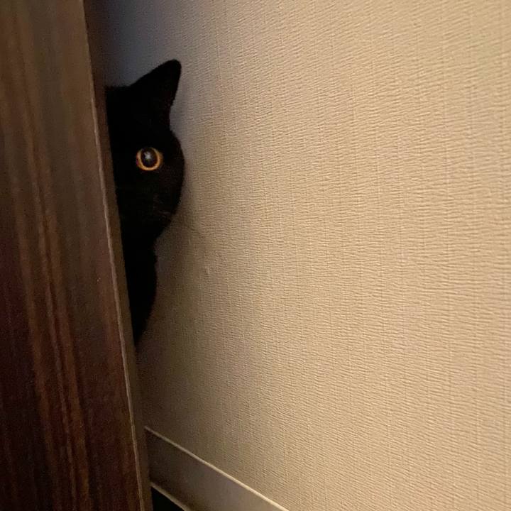 1f5e0945 6dfc 4c25 9f97 4f05fbe2306a 1740394938009