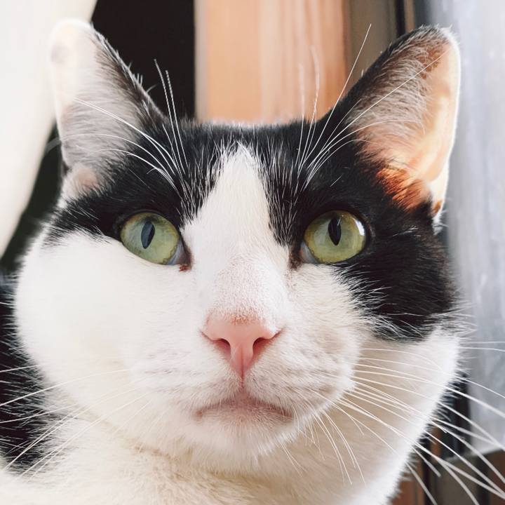 1f5e0a08 6bd9 49b1 a9e5 86393457df27 1555379657050