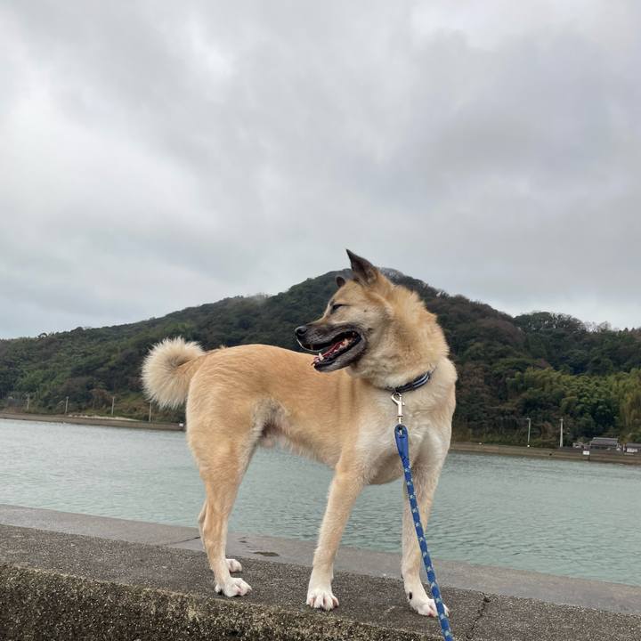 1f5e1f45 5f35 4fe8 9007 60ae52e548c9 1648284419734