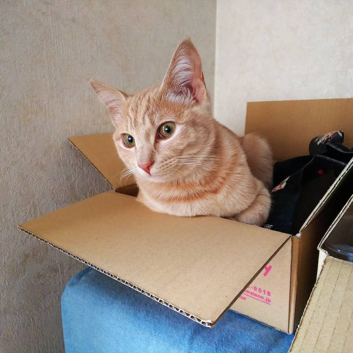 1f5e6a2a 10e4 4203 805e 133dd21bcdb1 1545346281344