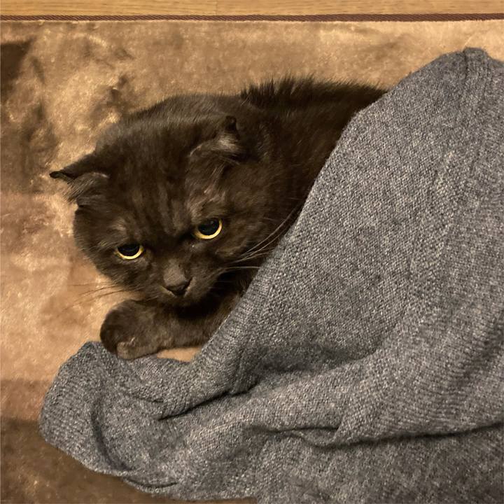 1f5e76ca 098a 4b6b 900c d0def7584f6f 1605258821413