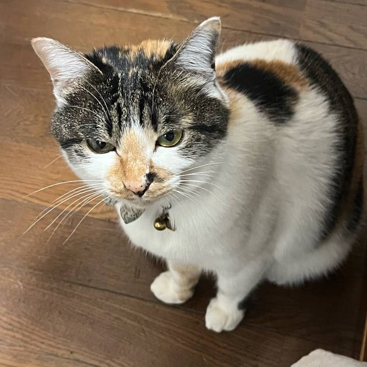 1f5e9c48 b56c 44b9 975b c5ff0f9224a2 1773450525394