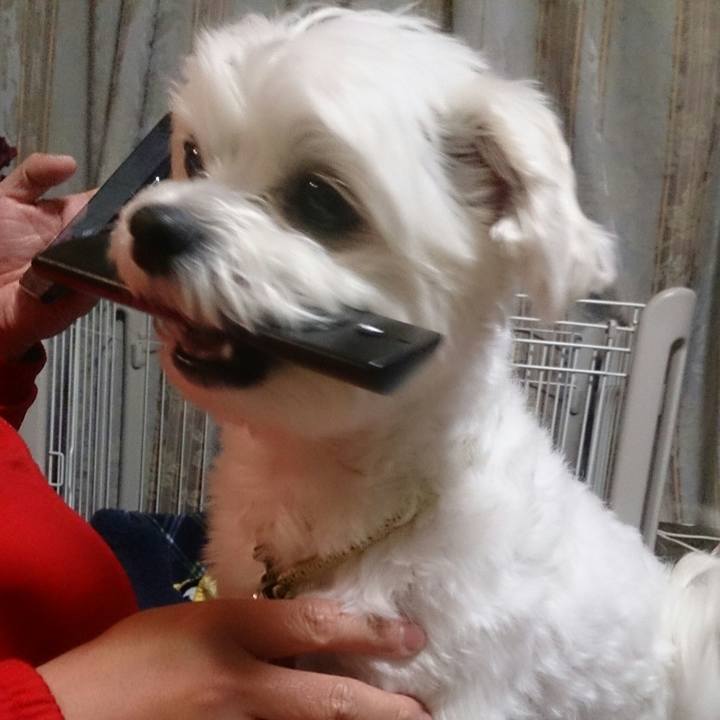 1f5eb651 746c 4ed6 b5ca c8126e1d669c 1522929630248