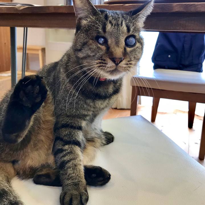 1f5ec14b ee70 49c1 8738 64f6134ae798 1541290722237