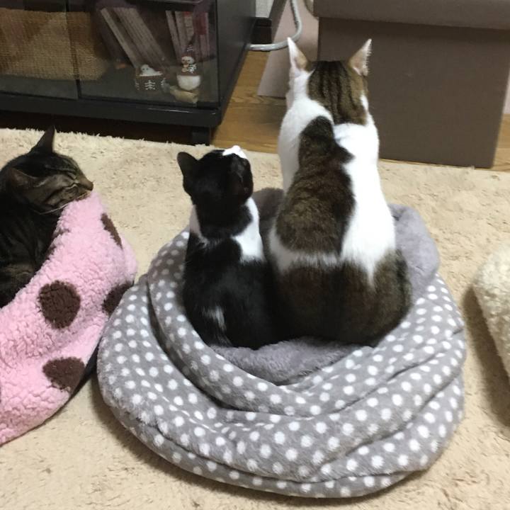 1f5eccf0 2251 4297 8500 448f8c843111 1577266351742